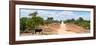 Awesome South Africa Collection Panoramic - Road in the Savannah-Philippe Hugonnard-Framed Photographic Print