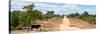 Awesome South Africa Collection Panoramic - Road in the Savannah-Philippe Hugonnard-Stretched Canvas