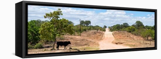 Awesome South Africa Collection Panoramic - Road in the Savannah-Philippe Hugonnard-Framed Stretched Canvas