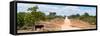 Awesome South Africa Collection Panoramic - Road in the Savannah-Philippe Hugonnard-Framed Stretched Canvas