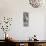Awesome South Africa Collection Panoramic - Rothschild Giraffe B&W-Philippe Hugonnard-Stretched Canvas displayed on a wall