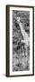 Awesome South Africa Collection Panoramic - Rothschild Giraffe B&W-Philippe Hugonnard-Framed Photographic Print