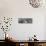 Awesome South Africa Collection Panoramic - Rothschild Giraffe II B&W-Philippe Hugonnard-Stretched Canvas displayed on a wall