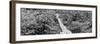 Awesome South Africa Collection Panoramic - Rothschild Giraffe II B&W-Philippe Hugonnard-Framed Photographic Print