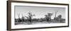 Awesome South Africa Collection Panoramic - Savanna in Kruger Park B&W-Philippe Hugonnard-Framed Photographic Print