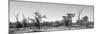 Awesome South Africa Collection Panoramic - Savanna in Kruger Park B&W-Philippe Hugonnard-Mounted Photographic Print