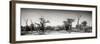 Awesome South Africa Collection Panoramic - Savanna in Kruger Park II-Philippe Hugonnard-Framed Photographic Print