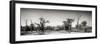 Awesome South Africa Collection Panoramic - Savanna in Kruger Park II-Philippe Hugonnard-Framed Photographic Print