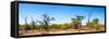 Awesome South Africa Collection Panoramic - Savanna in Kruger Park-Philippe Hugonnard-Framed Stretched Canvas