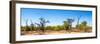 Awesome South Africa Collection Panoramic - Savanna in Kruger Park-Philippe Hugonnard-Framed Photographic Print