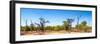 Awesome South Africa Collection Panoramic - Savanna in Kruger Park-Philippe Hugonnard-Framed Photographic Print