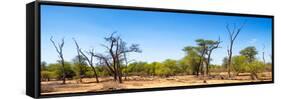 Awesome South Africa Collection Panoramic - Savanna in Kruger Park-Philippe Hugonnard-Framed Stretched Canvas