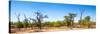 Awesome South Africa Collection Panoramic - Savanna in Kruger Park-Philippe Hugonnard-Stretched Canvas