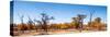 Awesome South Africa Collection Panoramic - Savanna in Kruger Park-Philippe Hugonnard-Stretched Canvas