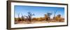 Awesome South Africa Collection Panoramic - Savanna in Kruger Park-Philippe Hugonnard-Framed Photographic Print