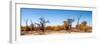 Awesome South Africa Collection Panoramic - Savanna in Kruger Park-Philippe Hugonnard-Framed Photographic Print