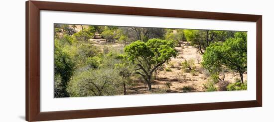 Awesome South Africa Collection Panoramic - Savanna Landscape II-Philippe Hugonnard-Framed Photographic Print