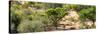 Awesome South Africa Collection Panoramic - Savanna Landscape II-Philippe Hugonnard-Stretched Canvas