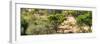 Awesome South Africa Collection Panoramic - Savanna Landscape II-Philippe Hugonnard-Framed Photographic Print