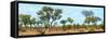 Awesome South Africa Collection Panoramic - Savanna Landscape-Philippe Hugonnard-Framed Stretched Canvas