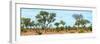 Awesome South Africa Collection Panoramic - Savanna Landscape-Philippe Hugonnard-Framed Photographic Print