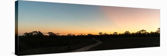 Awesome South Africa Collection Panoramic - Savannah at Sunset-Philippe Hugonnard-Stretched Canvas