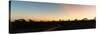Awesome South Africa Collection Panoramic - Savannah at Sunset-Philippe Hugonnard-Stretched Canvas
