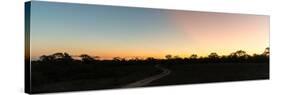 Awesome South Africa Collection Panoramic - Savannah at Sunset-Philippe Hugonnard-Stretched Canvas