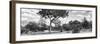 Awesome South Africa Collection Panoramic - Savannah Landscape B&W-Philippe Hugonnard-Framed Photographic Print