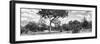 Awesome South Africa Collection Panoramic - Savannah Landscape B&W-Philippe Hugonnard-Framed Photographic Print