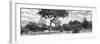 Awesome South Africa Collection Panoramic - Savannah Landscape B&W-Philippe Hugonnard-Framed Photographic Print