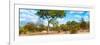 Awesome South Africa Collection Panoramic - Savannah Landscape II-Philippe Hugonnard-Framed Photographic Print