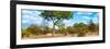 Awesome South Africa Collection Panoramic - Savannah Landscape II-Philippe Hugonnard-Framed Photographic Print