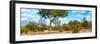 Awesome South Africa Collection Panoramic - Savannah Landscape II-Philippe Hugonnard-Framed Photographic Print