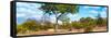 Awesome South Africa Collection Panoramic - Savannah Landscape II-Philippe Hugonnard-Framed Stretched Canvas