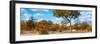 Awesome South Africa Collection Panoramic - Savannah Landscape III-Philippe Hugonnard-Framed Photographic Print