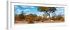 Awesome South Africa Collection Panoramic - Savannah Landscape III-Philippe Hugonnard-Framed Photographic Print