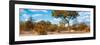 Awesome South Africa Collection Panoramic - Savannah Landscape III-Philippe Hugonnard-Framed Photographic Print