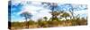 Awesome South Africa Collection Panoramic - Savannah Landscape IV-Philippe Hugonnard-Stretched Canvas