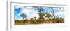 Awesome South Africa Collection Panoramic - Savannah Landscape IV-Philippe Hugonnard-Framed Photographic Print