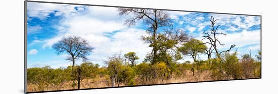 Awesome South Africa Collection Panoramic - Savannah Landscape IV-Philippe Hugonnard-Mounted Photographic Print
