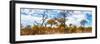 Awesome South Africa Collection Panoramic - Savannah Landscape V-Philippe Hugonnard-Framed Photographic Print