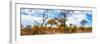 Awesome South Africa Collection Panoramic - Savannah Landscape V-Philippe Hugonnard-Framed Photographic Print