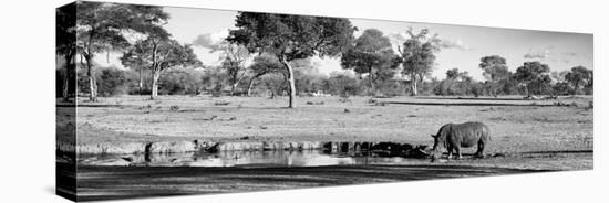 Awesome South Africa Collection Panoramic - Savannah Landscape with Rhino B&W-Philippe Hugonnard-Stretched Canvas