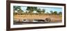 Awesome South Africa Collection Panoramic - Savannah Landscape with Rhino-Philippe Hugonnard-Framed Photographic Print