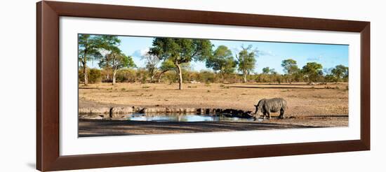 Awesome South Africa Collection Panoramic - Savannah Landscape with Rhino-Philippe Hugonnard-Framed Photographic Print