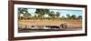 Awesome South Africa Collection Panoramic - Savannah Landscape with Rhino-Philippe Hugonnard-Framed Photographic Print