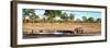 Awesome South Africa Collection Panoramic - Savannah Landscape with Rhino-Philippe Hugonnard-Framed Premium Photographic Print