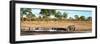 Awesome South Africa Collection Panoramic - Savannah Landscape with Rhino-Philippe Hugonnard-Framed Premium Photographic Print