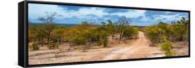 Awesome South Africa Collection Panoramic - Savannah Landscape-Philippe Hugonnard-Framed Stretched Canvas